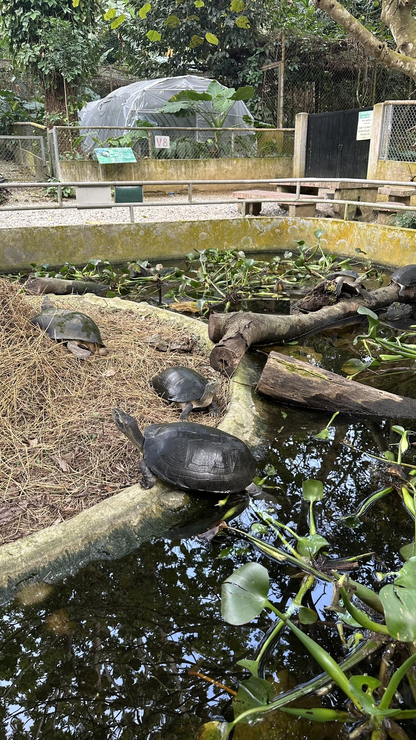 Educational tour about wildlife environment and primate protection